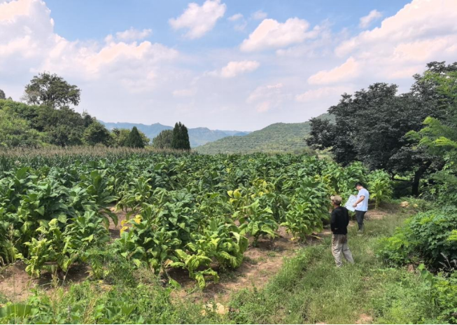 ��������Ͳ���֧��ǿ�����չ������Ա��ն��ܻ������ƽ�Ҷ��