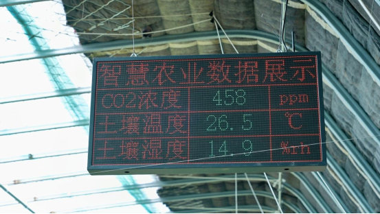 5G���� AI���£�ɽ���ƶ����ǵ����ǻ�ũҵ��ͼ��